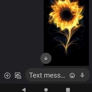 Meet your Posher, Tristen